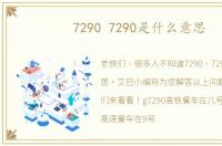 7290 7290是什么意思