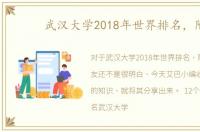 武汉大学2018年世界排名，附