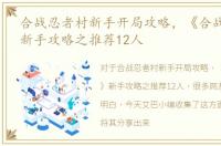 合战忍者村新手开局攻略，《合战忍者村》新手攻略之推荐12人