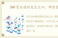 DNF冒险团好友怎么加，哪里查看
