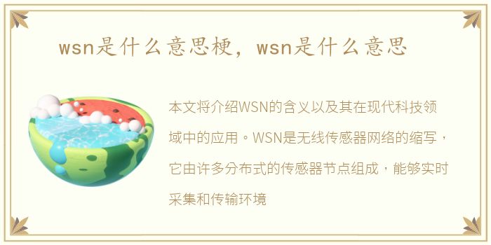 wsn是什么意思梗，wsn是什么意思