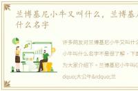 兰博基尼小牛又叫什么，兰博基尼小牛叫什么名字