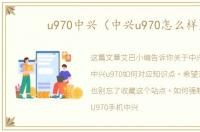 u970中兴（中兴u970怎么样）