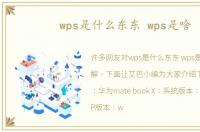 wps是什么东东 wps是啥