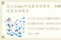 怎么在wps中设置自动保存，在WPS中怎样设置自动保存