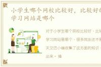 小学生哪个网校比较好，比较好的小学生学习网站是哪个