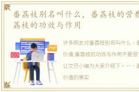 番荔枝别名叫什么，番荔枝的营养价值,番荔枝的功效与作用