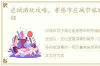 应城游玩攻略，孝感市应城市旅游景点介绍