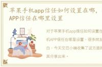 苹果手机app信任如何设置在哪，苹果手机APP信任在哪里设置