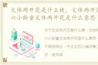 文体两开花是什么梗，文体两开花什么梗六小龄童文体两开花是什么意思