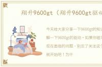 翔升9600gt（翔升9600gt驱动）