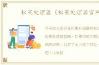 松果处理器（松果处理器官网）