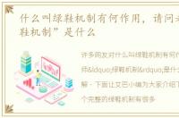 什么叫绿鞋机制有何作用，请问老师“绿鞋机制”是什么