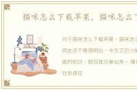 猫咪怎么下载苹果，猫咪怎么下载