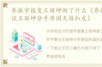 乔振宇报复王丽坤做了什么（乔振宇不愿谈王丽坤分手原因天涯扒皮）