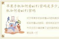苹果手机如何看wifi密码是多少，苹果手机如何看wifi密码