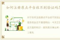 如何注册原点平台收不到验证码怎么办