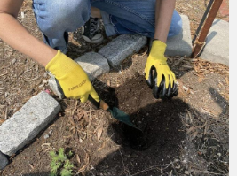 费城土壤项目为城市种植者带来了积极的结果