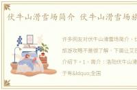 伏牛山滑雪场简介 伏牛山滑雪场旅游攻略