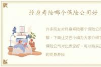 终身寿险哪个保险公司好