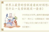 世界上最贵的雪糕看看就好别想着吃了（凭什么一支雪糕能买一套房）