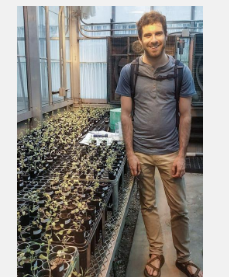 土壤微生物帮助植物应对干旱但与科学家想象的不同