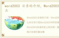 word2003 目录的介绍，Word2003目录是什么