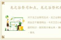 龙之谷祭司加点，龙之谷祭祀加点
