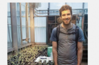 土壤微生物帮助植物应对干旱但与科学家想象的不同