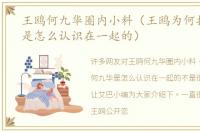 王鸥何九华圈内小料（王鸥为何找何九华是怎么认识在一起的）
