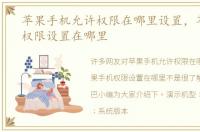 苹果手机允许权限在哪里设置，苹果手机权限设置在哪里