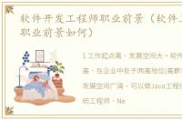软件开发工程师职业前景（软件工程师的职业前景如何）