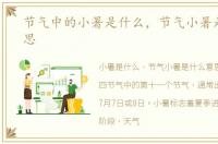 节气中的小暑是什么，节气小暑是什么意思