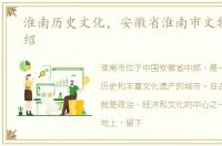 淮南历史文化，安徽省淮南市文物古迹介绍