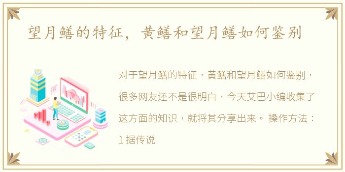 望月鳝的特征，黄鳝和望月鳝如何鉴别