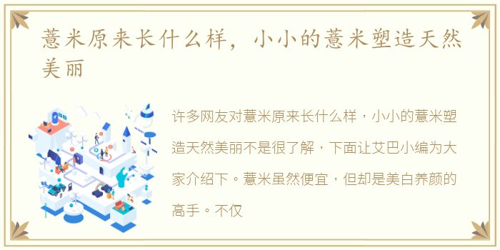 薏米原来长什么样，小小的薏米塑造天然美丽