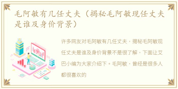 毛阿敏有几任丈夫（揭秘毛阿敏现任丈夫是谁及身价背景）