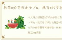 魅蓝e的参数是多少w，魅蓝e的参数是多少