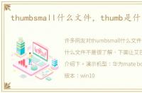 thumbsmall什么文件，thumb是什么文件
