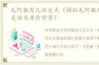 毛阿敏有几任丈夫（揭秘毛阿敏现任丈夫是谁及身价背景）