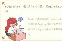 registry 进程的介绍，Registry是什么进程