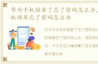 华为手机锁屏了忘了密码怎么办，华为手机锁屏忘了密码怎么办