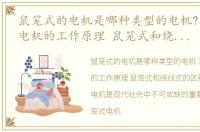 鼠笼式的电机是哪种类型的电机?，鼠笼式电机的工作原理 鼠笼式和绕线式的区别