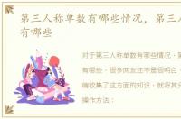 第三人称单数有哪些情况，第三人称单数有哪些