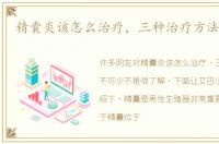 精囊炎该怎么治疗，三种治疗方法不可少