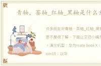 青轴，茶轴_红轴_黑轴是什么意思