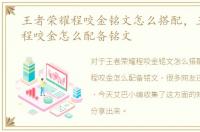 王者荣耀程咬金铭文怎么搭配，王者荣耀程咬金怎么配备铭文