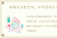 杨梅有虫能吃吗，如何清洗才干净