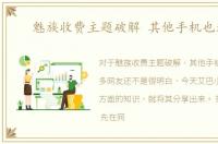 魅族收费主题破解 其他手机也适用