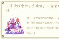 王者荣耀中的小乔攻略，王者荣耀小乔攻略